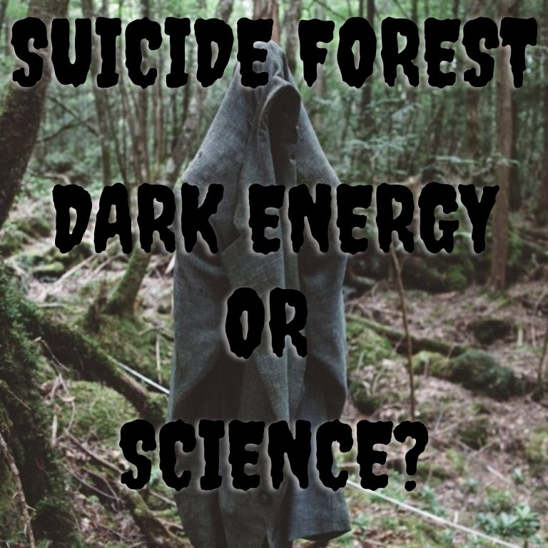 The Suicide Forest | Dark Energy or Something Else?