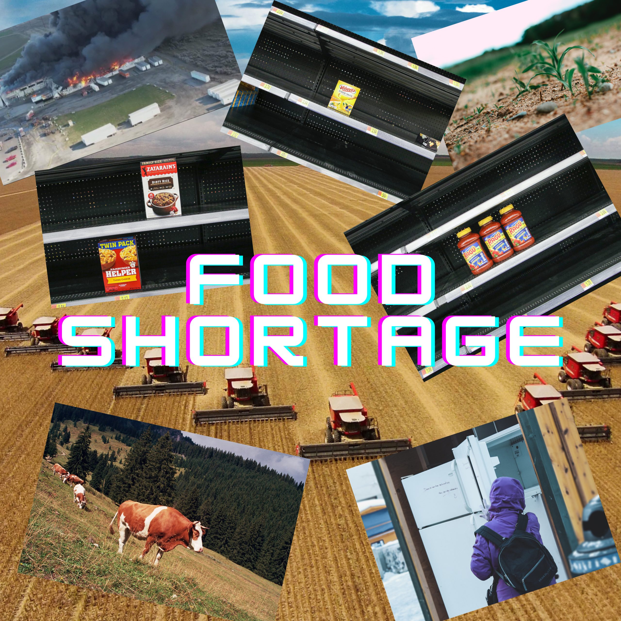 Food Shortage | Is It Coming? or Is It Here?