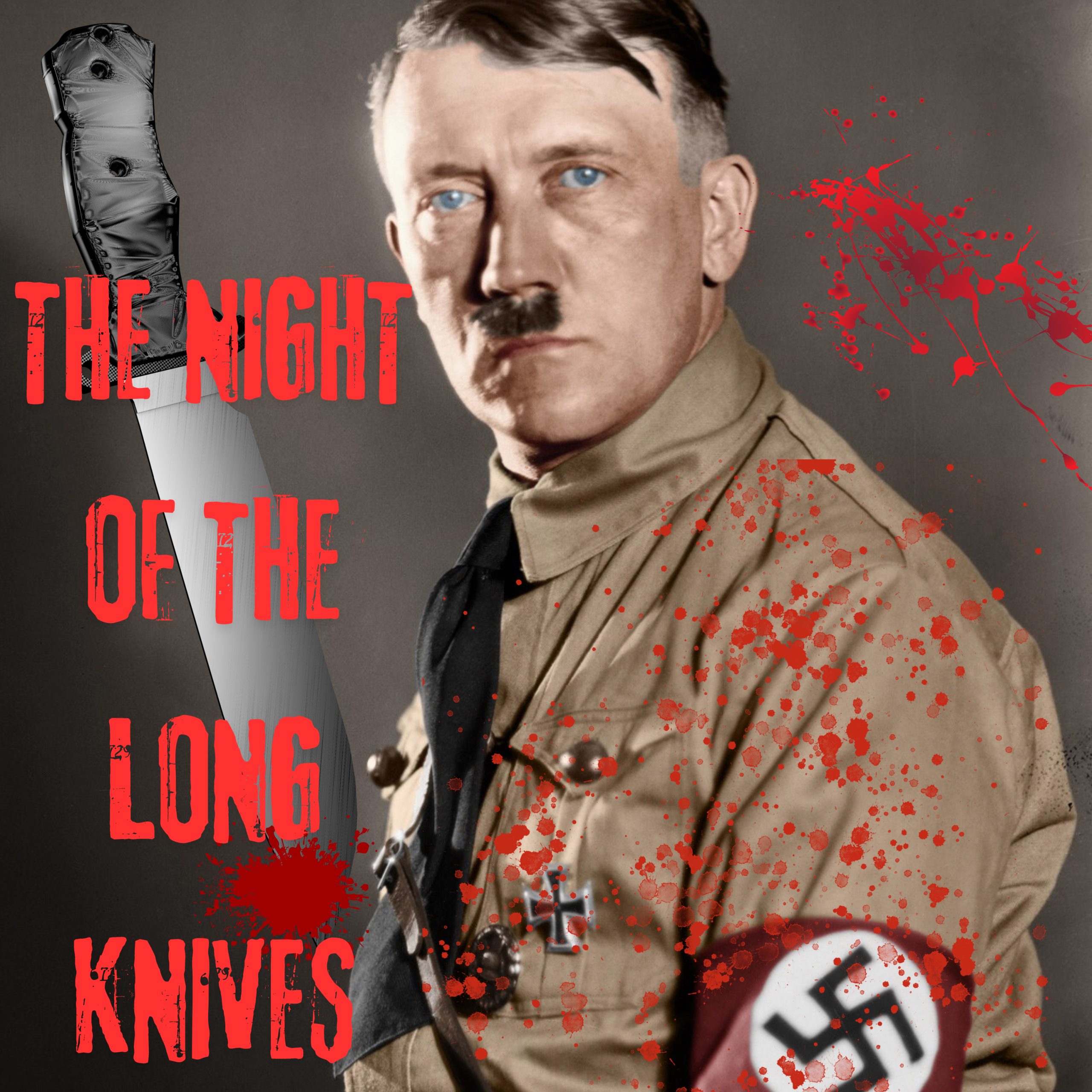 The Night of The Long Knives | Hitler’s Rise To Power